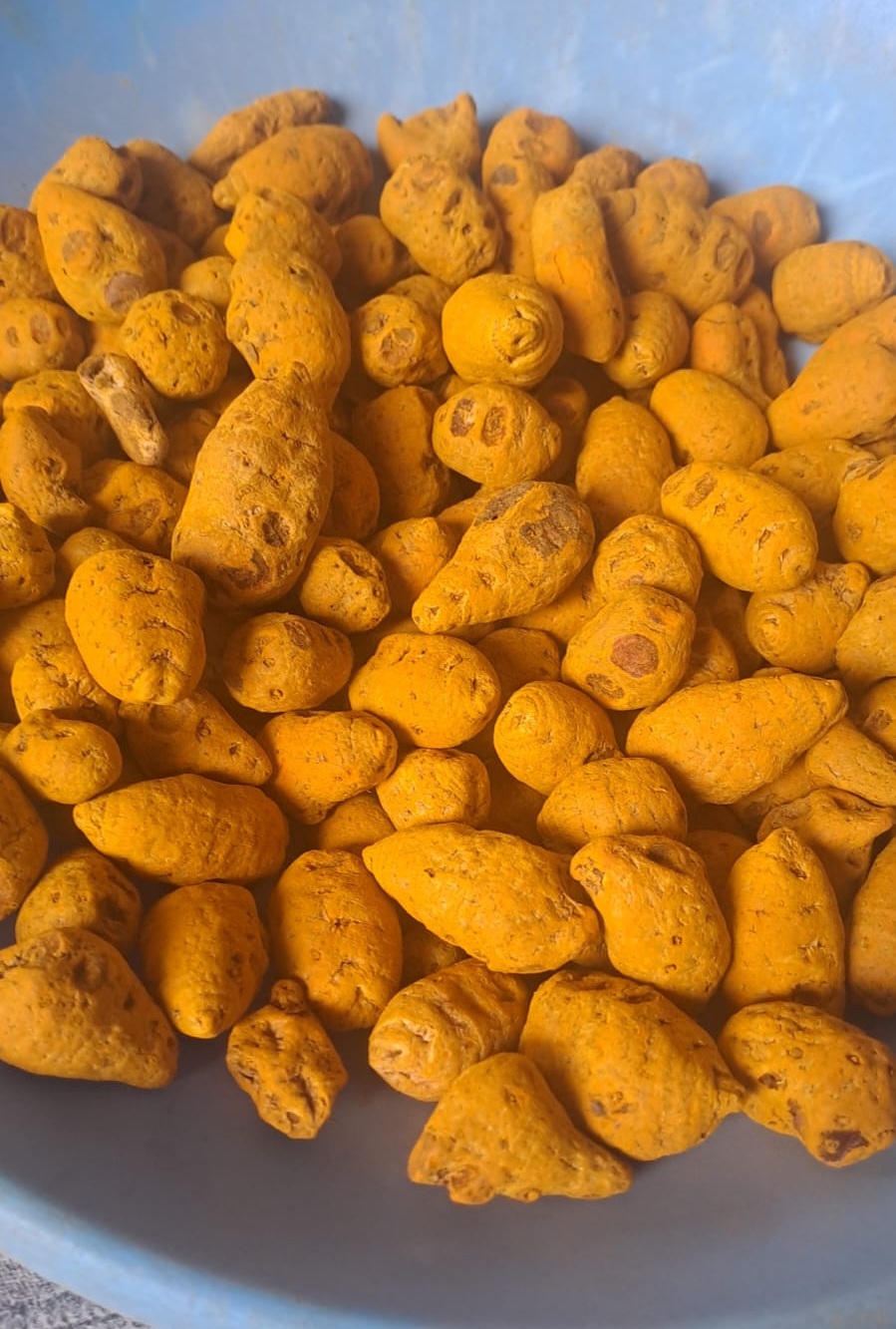 Turmeric Import